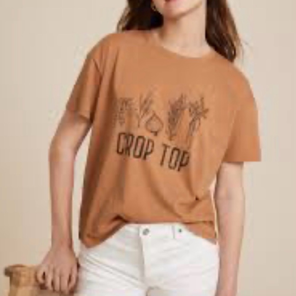 Maurices Brown Graphic Crop Top